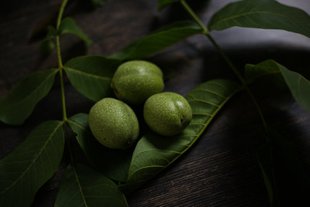 Unripe walnut fruits on a branch with leavesの写真素材