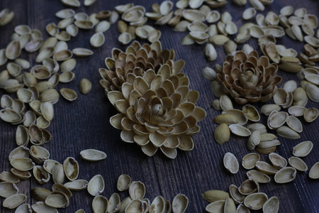 Craft flower from pistachio shell. Garbage from pistachios for flower arrangement artの写真素材