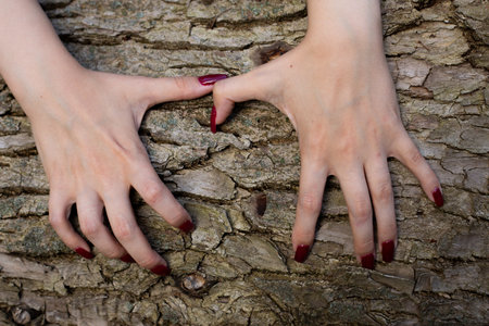The hands of a pale-skinned young girl with long, red-lacquered nails dig into the bark of a tree....
