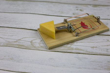 Triangular piece of cheese lies in a mousetrap luring rodents on a wooden floorの写真素材