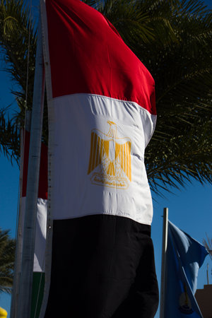 narrow flag of Egyptの写真素材