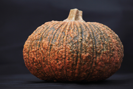 pumpkin on black backgroundの写真素材