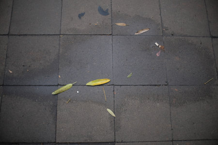 A close-up view of a wet, tiled sidewalk scattered with fallen leaves and a cigarette butt.