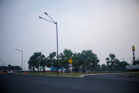 A roundabout with freshly paved roads, tall streetlights, and a cluster of palm trees at the center.の写真素材