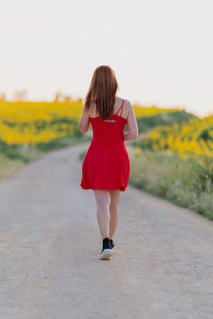 Unrecognized woman wearing a red dress walking in a sunflower field and enjoying the sunset.の写真素材