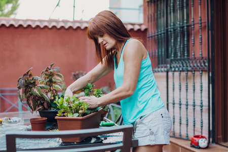 red-haired woman mulching a potted plant on her garden terraceの写真素材