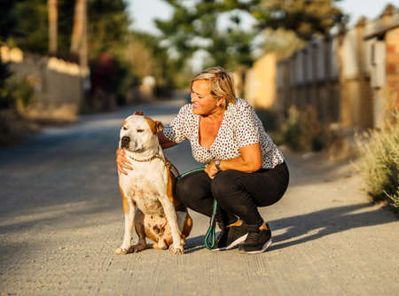Woman caressing a dog sitting on an unpaved streetの写真素材