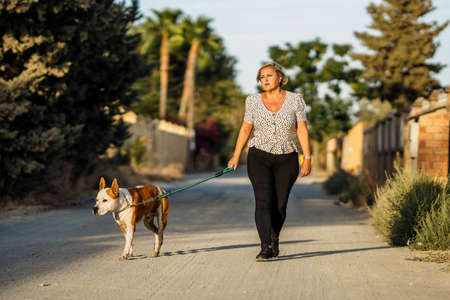 Woman walking a dog on an unpaved streetの写真素材