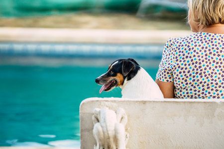Distracted small dog sitting on a bench next to a woman in front of a pool