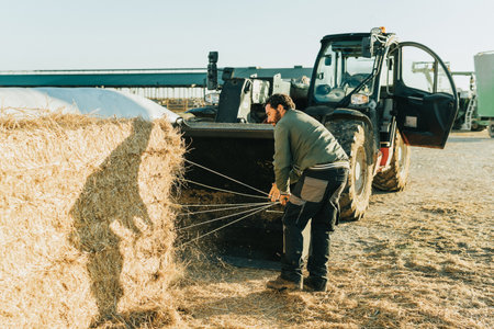 a man picking up the strings of a hay bales after cutting them.の写真素材