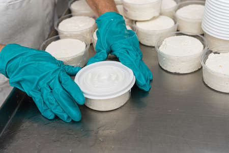 a womans hands packaging a fresh cheeseの写真素材