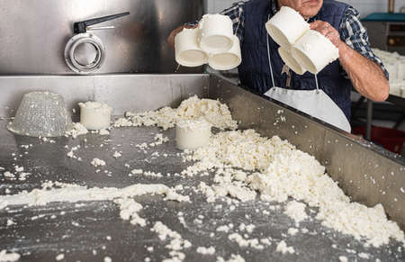 old man moving fresh cheese moulds filled with curds