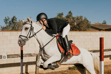 side view of a male rider jumping over obstacles with his white horseの写真素材