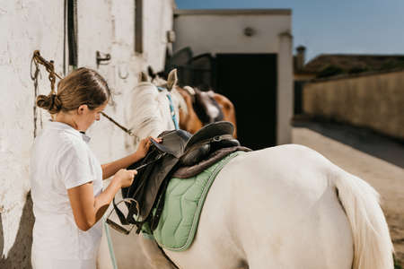 12-year-old girl tightening the saddle strap of a saddleの写真素材