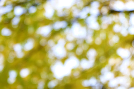Bokeh Background Yellowの写真素材