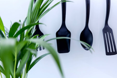 Palm Plant in front of kitchen utensils with shallow depth of fieldの写真素材