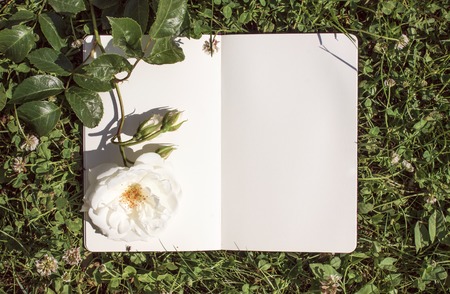 An open book with empty pages, a white rose flower and a green clover. Romantic concept. Copy spaceの写真素材