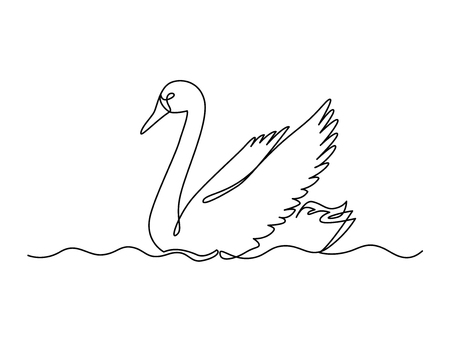 Swan continuous one line vector drawing.の写真素材