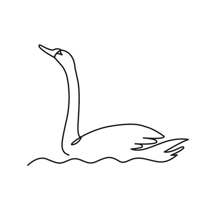 Swan continuous one line vector drawing.の写真素材