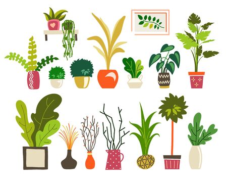 Houseplants flat illustrations vector set. Hand drawn flower pots with ornamental indoor plantsのイラスト素材