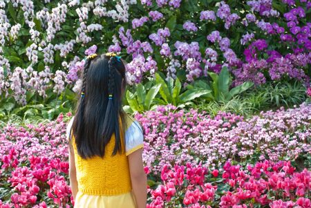 one girl looking at flower gardenの写真素材
