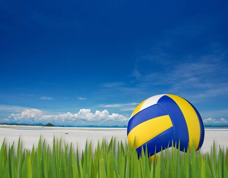 art work of beach volleyball on grass patternの写真素材