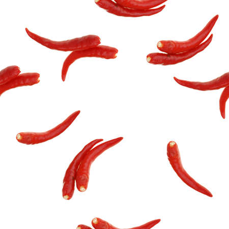 vegetable seamless pattern isolated on white background for web pageの写真素材