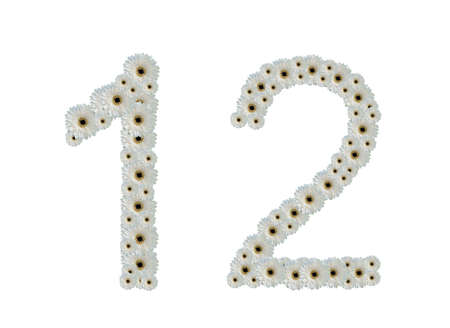 Number one and two from white flower fonts isolated on white backgroundの写真素材