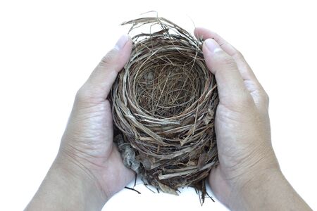 two hand hold an old nest on white background.の写真素材