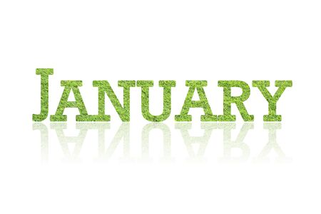 word january from grass texture on white background.の写真素材