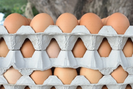 simple gruop of egg close up view.のeditorial素材