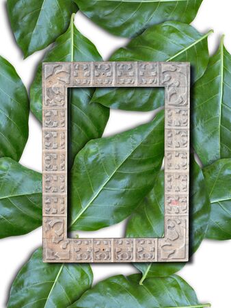 On seamless green leaves background.の写真素材