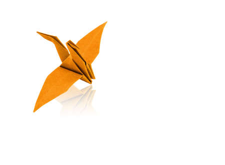 colorful paper birds with reflection on white background.の写真素材