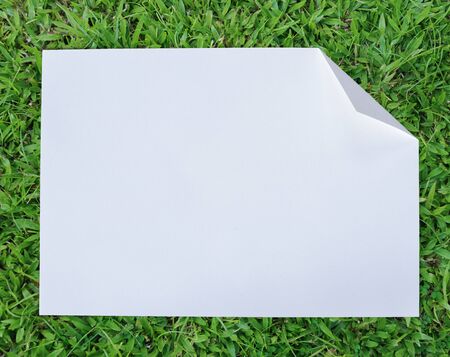 Folded empty white paper on background.の写真素材