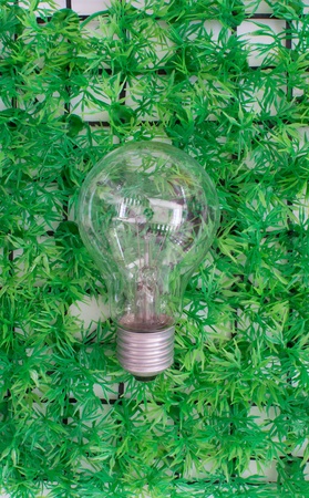 light bulb on grass background.