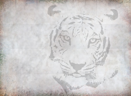 Tiger sketch on grunge paper.の写真素材