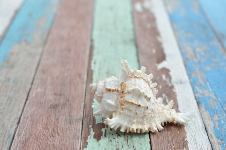 Old grunge wood background.の写真素材