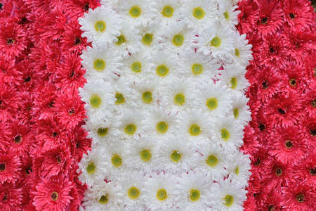 Flower from artificial white and red flower.の写真素材