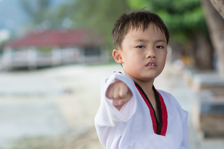 Asian brown belt taekwondo boy portrait outdoor scene.の写真素材