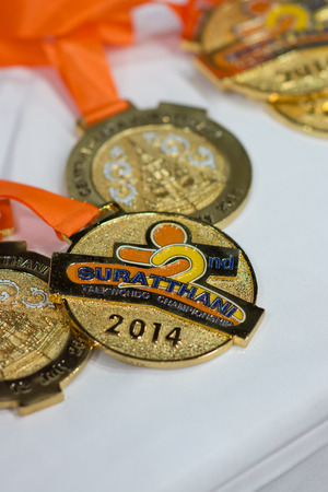 SURTTHANI, THAILAND - JULY 12: Unidentified Thai students 4 - 17 years old in action at suratthani taekwondo championship 2014 on July 12, 2014 in Suratthani, Thailand.のeditorial素材