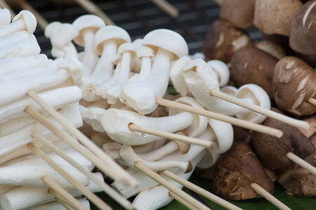 mushroom BBQ close up viewの写真素材