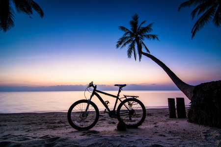 sunset silhouette landscape.の写真素材
