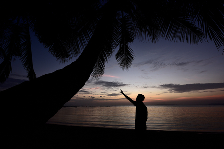 ko samui, Thailand. Silhouette one man and coconut palm tree on the beach at twilight.の写真素材