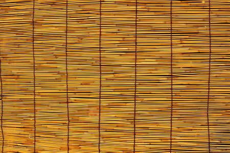 curtain in window