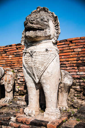 Lion rock in templeの写真素材