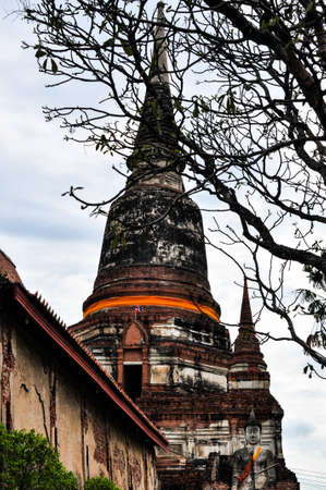 TEMPLEの写真素材