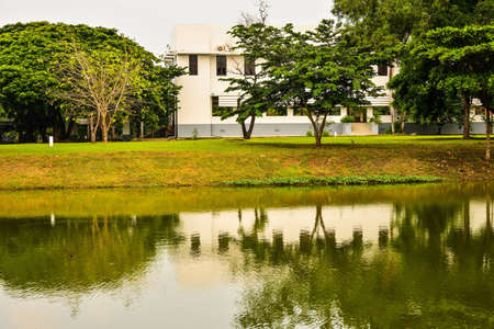 water in parkの写真素材