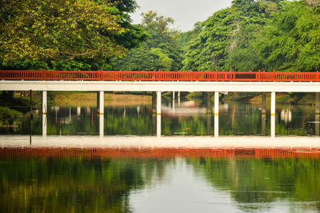 bridge in parkの写真素材
