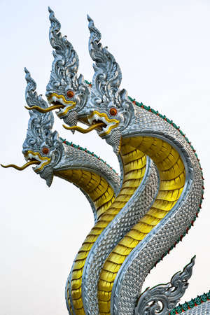 dragonの写真素材