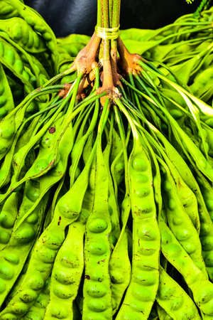 Vegetables in Thaiの写真素材
